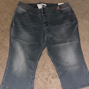 Lane Bryant Dark Gray crop Jeans